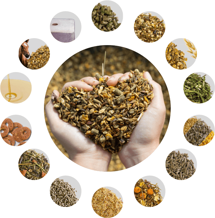 pferdefutter pferdemuesli cobs getreidefutter oel mineralfutter raufutter pferdeleckerli zuchtfutter fohlenfutter leckstein pferdefutter pferdemuesli cobs getreidefutter oel mineralfutter raufutter pferdeleckerli zuchtfutter fohlenfutter leckstein